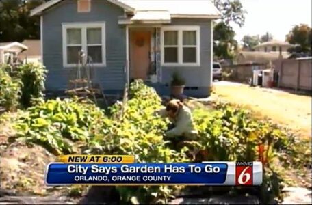 Fight for the Right to Grow Food: Orlando Man Cited for Illegal Gardening [Updated] Image